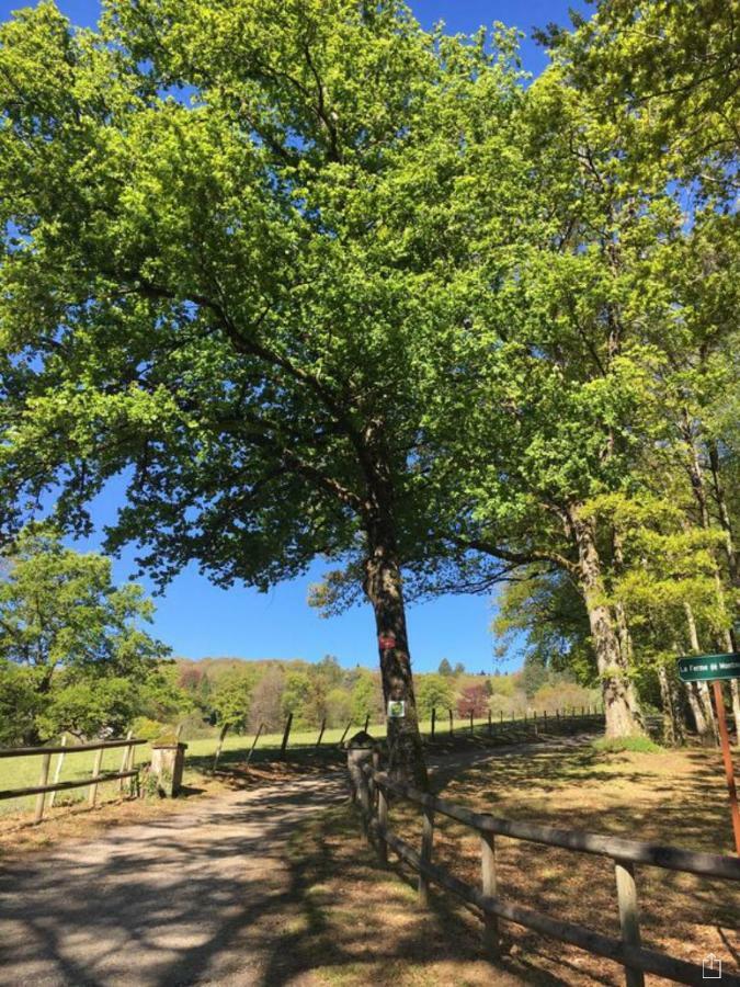 Domaine De Montmery Sa Piscine Son Jardin Ses Espaces Ambazac ภายนอก รูปภาพ